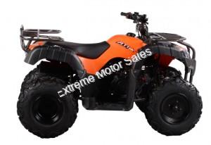 Rider 200cc ATV EFI Fuel Injected Quad 4 Wheeler Automatic Transmission