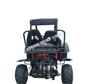 Tiking Explorer TK150-2C 150cc Go Kart Go Cart Off-Road Dune Buggy