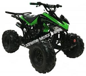 Snake Eyes 125cc Kids Sport ATV Automatic with Reverse Full Size Quad