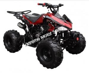 Snake Eyes 125cc Kids Sport ATV Automatic with Reverse Full Size Quad