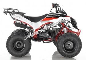 Razor 125cc Sport Big Kids ATV