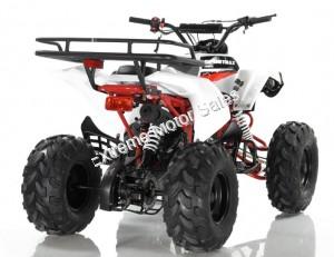 Razor 125cc Sport Big Kids ATV