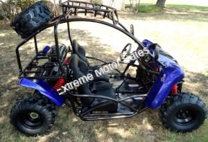 Transformer 125cc Kids Go Cart Go Kart Off Road Dune Buggy