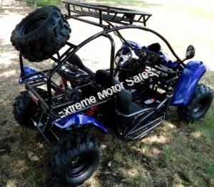 Transformer 125cc Kids Go Cart Go Kart Off Road Dune Buggy