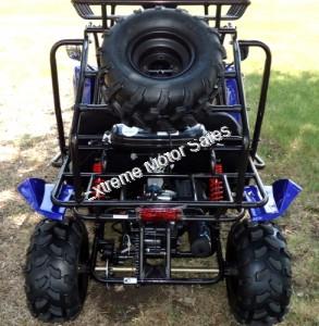 Transformer 125cc Kids Go Cart Go Kart Off Road Dune Buggy