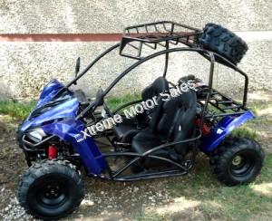 Transformer 125cc Kids Go Cart Go Kart Off Road Dune Buggy