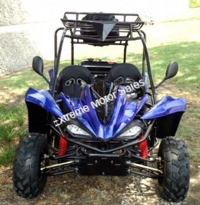 Transformer 125cc Kids Go Cart Go Kart Off Road Dune Buggy