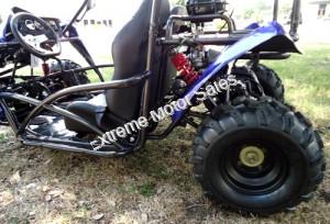 Transformer 125cc Kids Go Cart Go Kart Off Road Dune Buggy