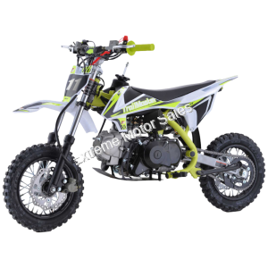 TrailMaster TM11 Kids Dirt Bike 110cc Fully Automatic Pit Bike