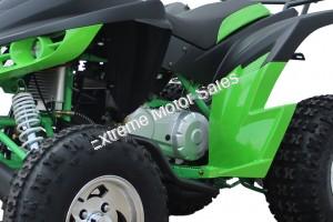 Extreme Hawk 200cc Sport ATV 4 Wheeler Quad Automatic Transmission