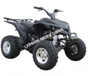 Extreme Hawk 200cc Sport ATV 4 Wheeler Quad Automatic Transmission