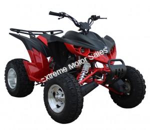 Extreme Hawk 200cc Sport ATV 4 Wheeler Quad Automatic Transmission