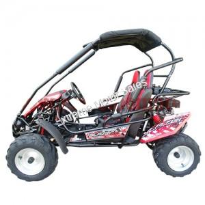 Trailmaster Blazer 200R Go Cart GoKart for Kids- Extreme Motor Sales