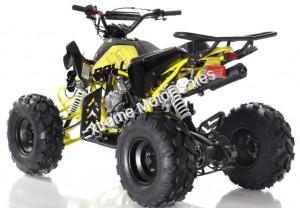 Apollo Blazer9 125cc Sport ATV Kids Quad 9 inch Wheel 4 Wheeler