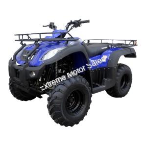 Canyon 250 ATV Blue