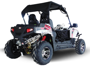 Trailmaster Challenger 300EX 300cc EFI UTV Utility Vehicle Side x Side