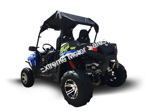 Trailmaster Challenger 300EX 300cc EFI UTV Utility Vehicle Side x Side