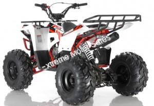 Apollo Commander 125cc Kids ATV Utility Style Kids Automatic Quad