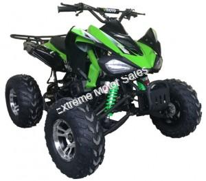 Extreme Cougar 200cc Sport ATV 4 Wheeler Quad Automatic Transmission