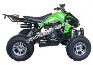 Extreme Cougar 200cc Sport ATV 4 Wheeler Quad Automatic Transmission