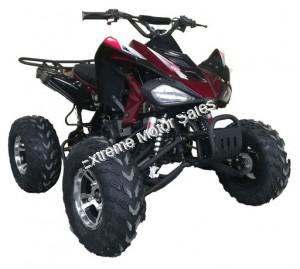 Extreme Cougar 200cc Sport ATV 4 Wheeler Quad Automatic Transmission