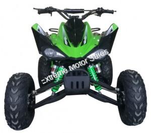 Extreme Cougar 200cc Sport ATV 4 Wheeler Quad Automatic Transmission