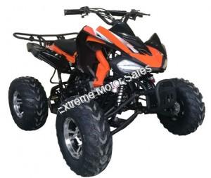 Extreme Cougar 200cc Sport ATV 4 Wheeler Quad Automatic Transmission