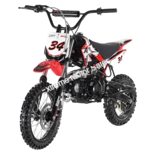 Apollo DB34 DB-34 110cc Dirt Bike Pit Kids Pro Semi Automatic