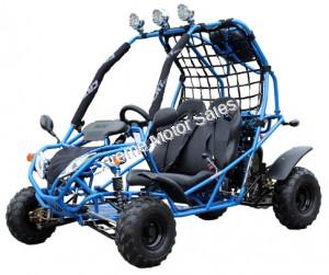 Falcon DF125H 125cc Kids Go Cart Go Kart Off Road Buggy Youth