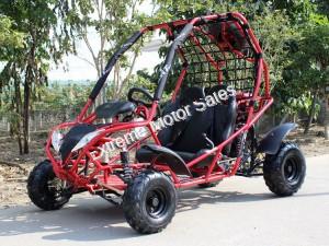 Falcon 125cc Kids Youth Go Cart Dune Buggy