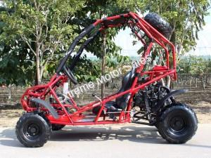 Falcon 125cc Kids Youth Go Cart Dune Buggy