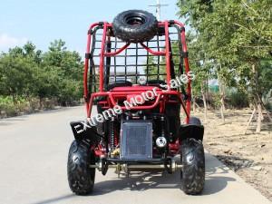 Falcon 125cc Kids Youth Go Cart Dune Buggy