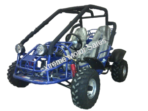 Tiking Explorer TK150-2C 150cc Go Kart Go Cart Off-Road Dune Buggy