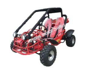 Tiking Explorer TK150-2C 150cc Go Kart Go Cart Off-Road Dune Buggy