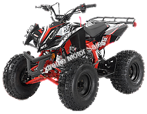 Falcon X 125cc Kids ATV Sport Style Semi Automatic with Reverse