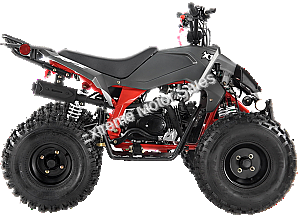 Falcon X 125cc Kids ATV Sport Style Semi Automatic with Reverse