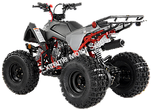 Falcon X 125cc Kids ATV Sport Style Semi Automatic with Reverse