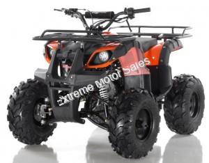 Apollo Focus 125cc Kid ATV Utility Style Kids Fully Automatic Quad