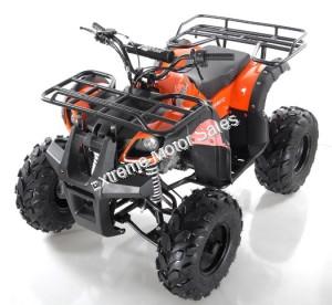 Apollo Focus 125cc Kid ATV Utility Style Kids Fully Automatic Quad