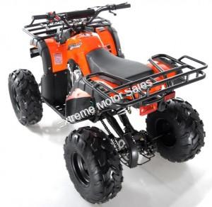 Apollo Focus 125cc Kid ATV Utility Style Kids Fully Automatic Quad