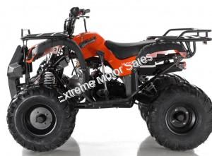 Apollo Focus 125cc Kid ATV Utility Style Kids Fully Automatic Quad