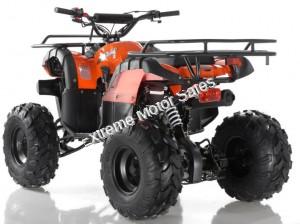 Apollo Focus 125cc Kid ATV Utility Style Kids Fully Automatic Quad