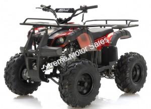 Apollo Focus 125cc Kid ATV Utility Style Kids Fully Automatic Quad