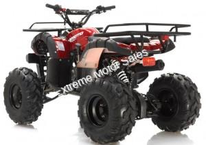 Apollo Focus 125cc Kid ATV Utility Style Kids Fully Automatic Quad