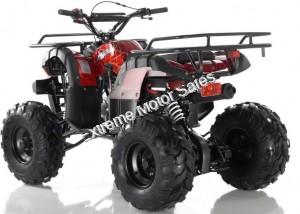 Apollo Focus 125cc Kid ATV Utility Style Kids Fully Automatic Quad