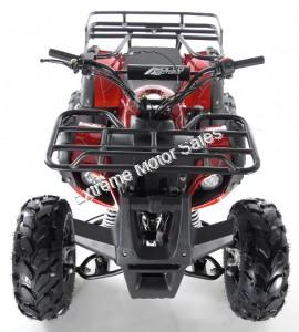 Apollo Focus 125cc Kid ATV Utility Style Kids Fully Automatic Quad