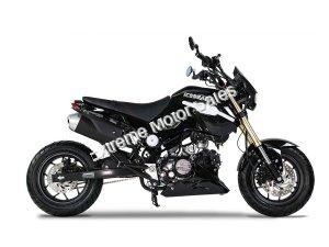 Fuerza PMZ125-1 |125cc Motorcycle | 125cc | Mini Moto | Grom Copy