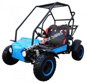 Shark 125cc Kids Youth Go Cart Dune Buggy