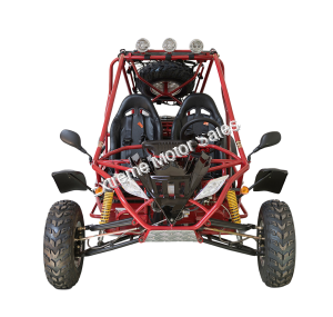 Tiking TK200GK-10 200cc Go Cart Go Kart Off Road Dune Buggy