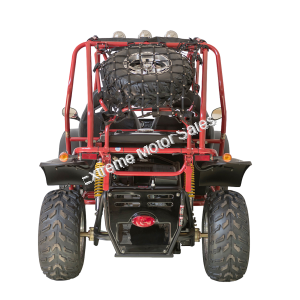 Tiking TK200GK-10 200cc Go Cart Go Kart Off Road Dune Buggy